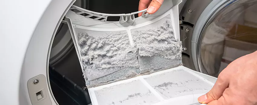 Best Dryer Lint Removal Company in Ozark, Alabama