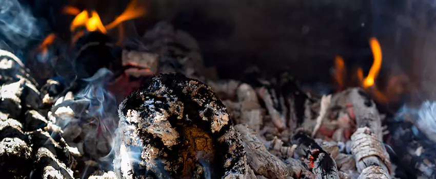 Creosote Removal Experts in Ozark, AL