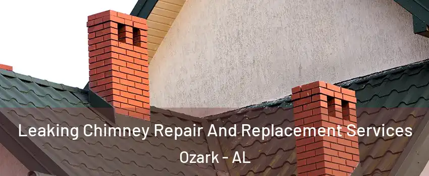  Leaking Chimney Repair And Replacement Services Ozark - AL