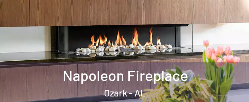  Napoleon Fireplace Ozark - AL