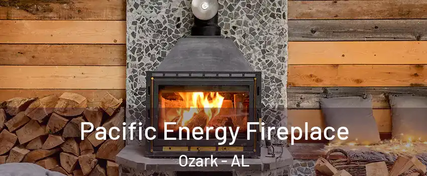  Pacific Energy Fireplace Ozark - AL