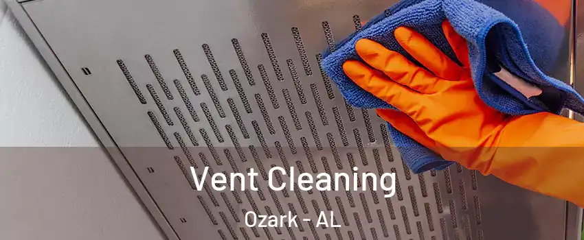  Vent Cleaning Ozark - AL
