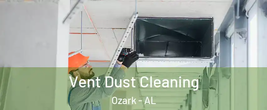  Vent Dust Cleaning Ozark - AL