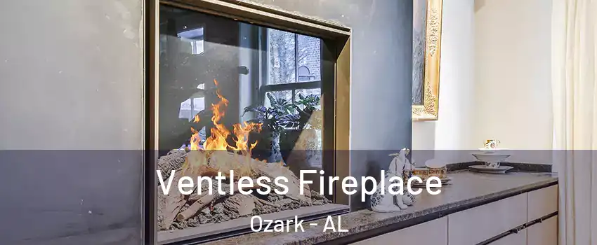  Ventless Fireplace Ozark - AL